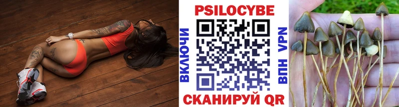 Купить где  Железноводск  Псилоцибиновые грибы прущие грибы 